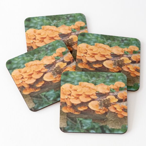 Item preview, Favolaschia calocera designed and sold by HPrespective.