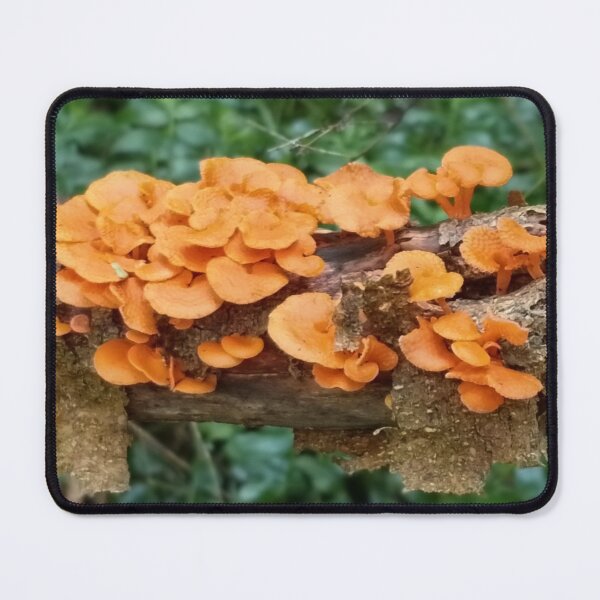 Item preview, Favolaschia calocera designed and sold by HPrespective.
