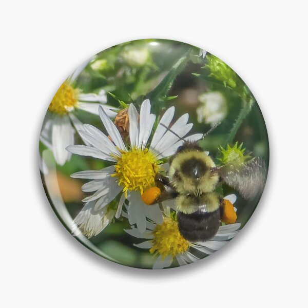 Item preview, Among the Asters No. 8 designed and sold by Feral Vibes.