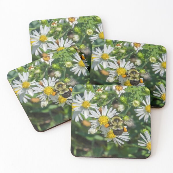 Item preview, Among the Asters No. 8 designed and sold by Feral Vibes.
