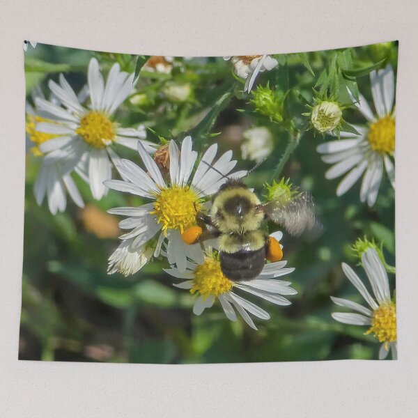 Item preview, Among the Asters No. 8 designed and sold by Feral Vibes.