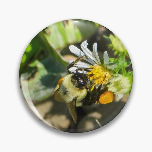 Item preview, Among the Asters No. 7 designed and sold by Feral Vibes.