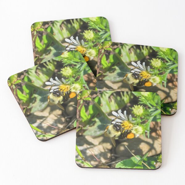 Item preview, Among the Asters No. 7 designed and sold by Feral Vibes.