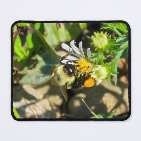 Item preview, Among the Asters No. 7 designed and sold by Feral Vibes.