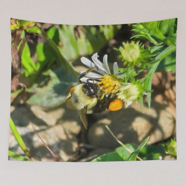 Item preview, Among the Asters No. 7 designed and sold by Feral Vibes.