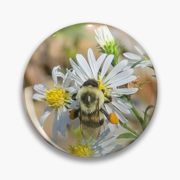Item preview, Among the Asters No. 6 designed and sold by Feral Vibes.