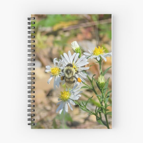 Item preview, Among the Asters No. 6 designed and sold by Feral Vibes.