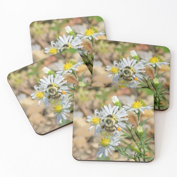 Item preview, Among the Asters No. 6 designed and sold by Feral Vibes.