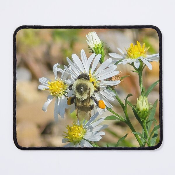 Item preview, Among the Asters No. 6 designed and sold by Feral Vibes.