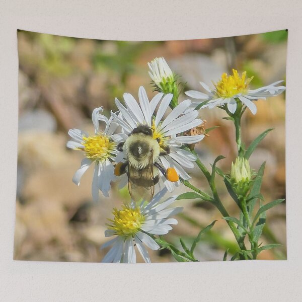 Item preview, Among the Asters No. 6 designed and sold by Feral Vibes.