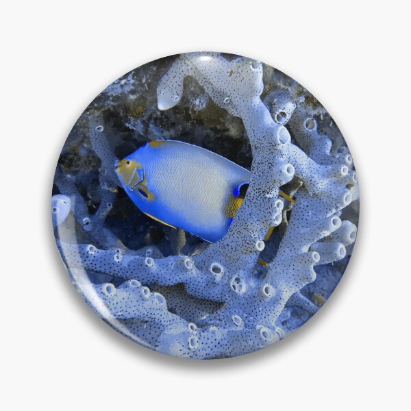 Item preview, Blue Angelfish designed and sold by Mulz08.