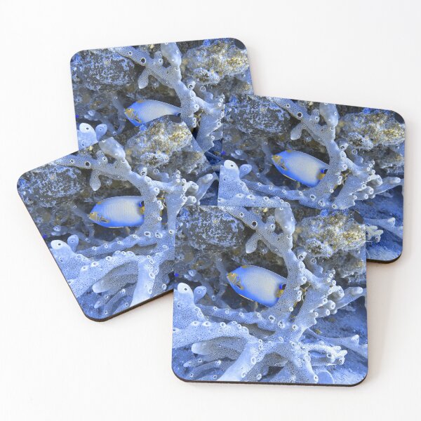Item preview, Blue Angelfish designed and sold by Mulz08.