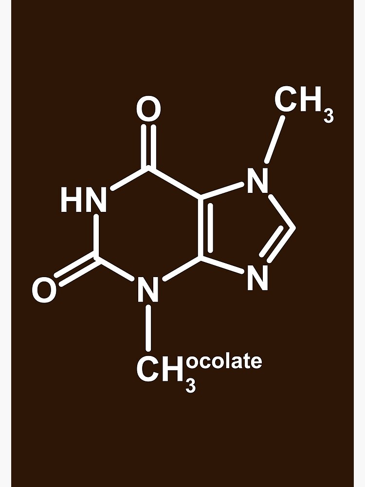 Chocolate theobromine essay picture