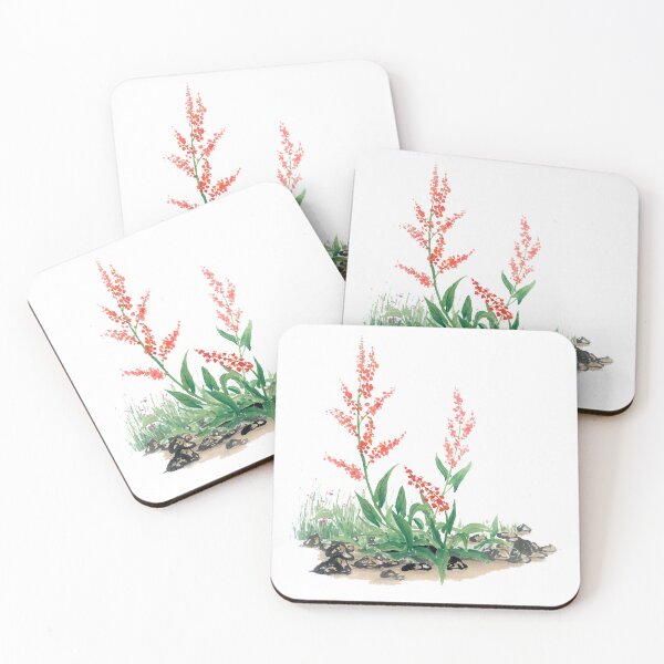 Item preview, January 17th birthday flower Rumex vesicarius designed and sold by birthflower.