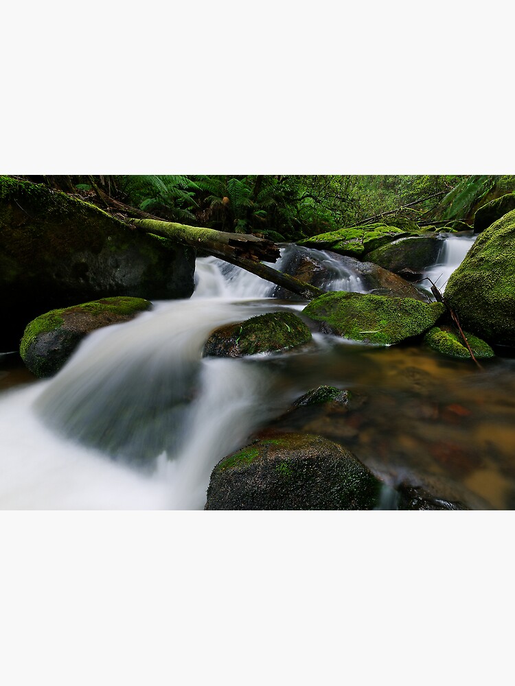 Thumbnail 3 of 3, Poster, Cascading through the Mossy Boulders designed and sold by Robsteriography.