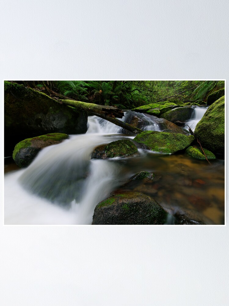 Thumbnail 1 of 3, Poster, Cascading through the Mossy Boulders designed and sold by Robsteriography.