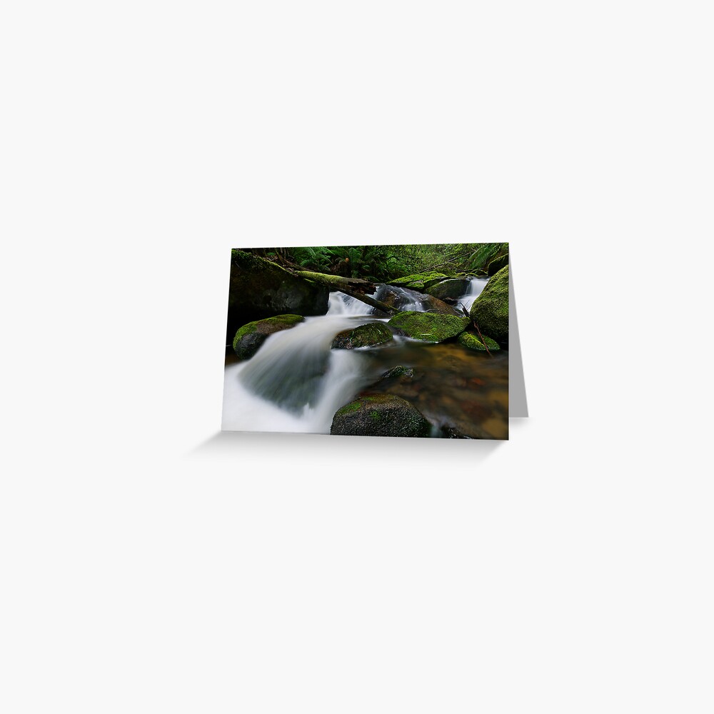Item preview, Greeting Card designed and sold by Robsteriography.