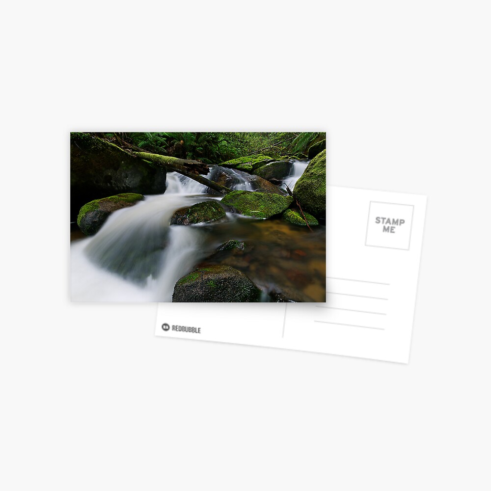 Item preview, Postcard designed and sold by Robsteriography.