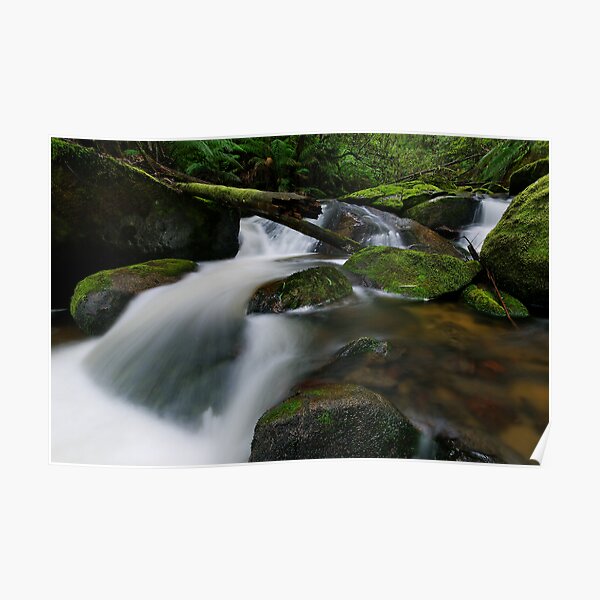 Cascading through the Mossy Boulders Poster