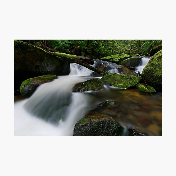 Item preview, Cascading through the Mossy Boulders designed and sold by Robert Mullner.