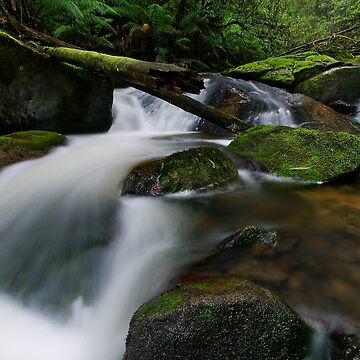 Artwork thumbnail, Cascading through the Mossy Boulders by Robert Mullner