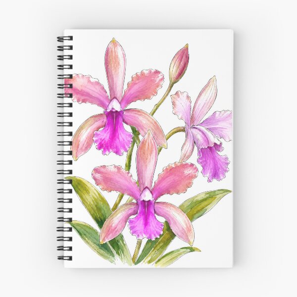 Artikelvorschau, Blush Cattleya Orchid Bloom entworfen und verkauft von scicilysimonee.