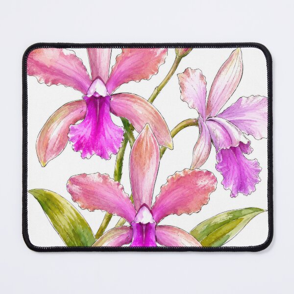 Item preview, Blush Cattleya Orchid Bloom designed and sold by scicilysimonee.