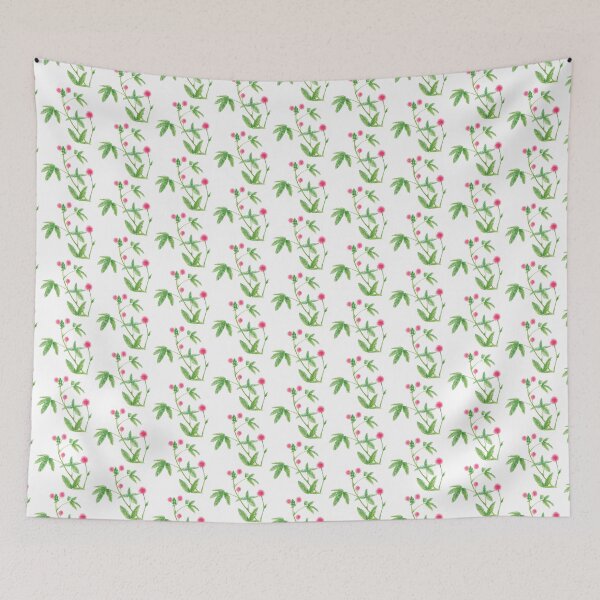 Item preview, January 26th birthday flower Mimosa pudica designed and sold by birthflower.