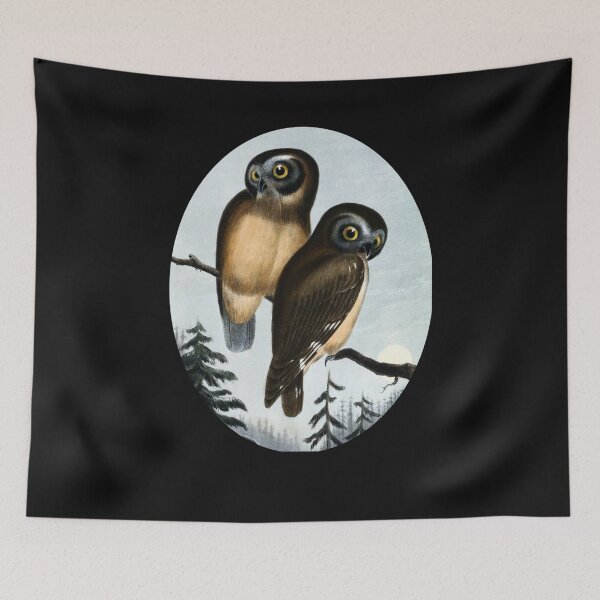 Item preview, Northern Saw-Whet Owl Art Print designed and sold by CrystalRaen.
