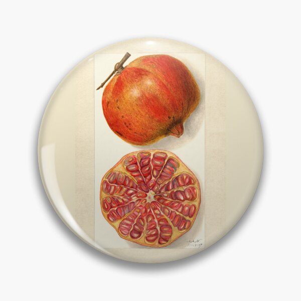 Item preview, Pomegranate II Vintage Botanical Art designed and sold by Glimmersmith.