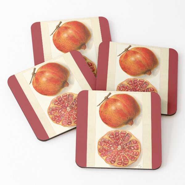 Item preview, Pomegranate II Vintage Botanical Art designed and sold by Glimmersmith.