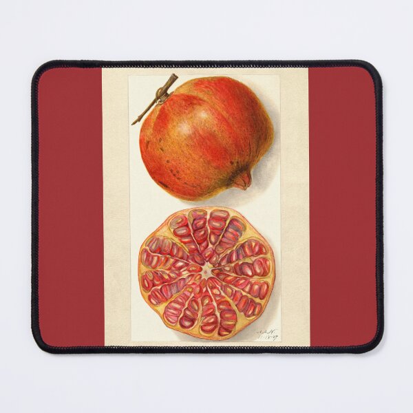 Item preview, Pomegranate II Vintage Botanical Art designed and sold by Glimmersmith.