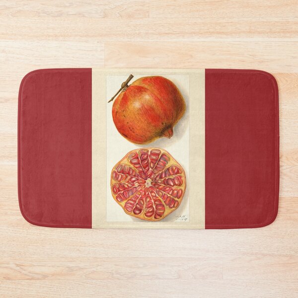 Item preview, Pomegranate II Vintage Botanical Art designed and sold by Glimmersmith.