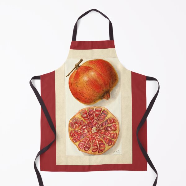 Item preview, Pomegranate II Vintage Botanical Art designed and sold by Glimmersmith.