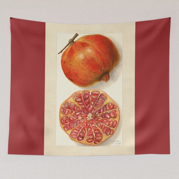 Item preview, Pomegranate II Vintage Botanical Art designed and sold by Glimmersmith.