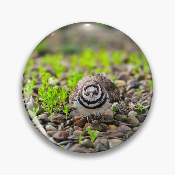 Item preview, The Scrape No. 4 - Unmoved designed and sold by Feral Vibes.