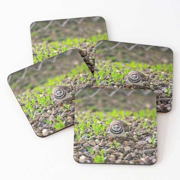 Item preview, The Scrape No. 4 - Unmoved designed and sold by Feral Vibes.