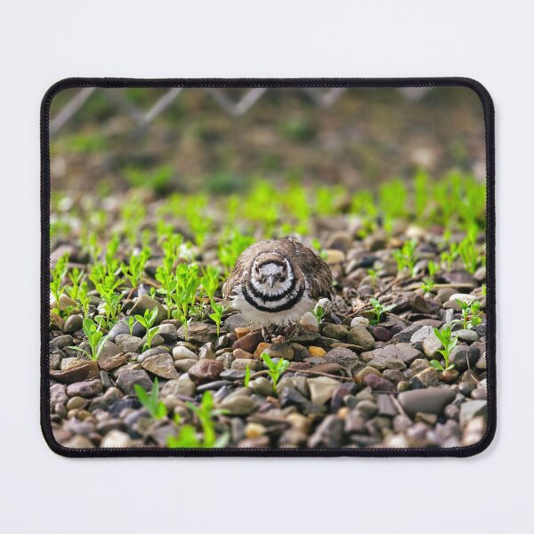 Item preview, The Scrape No. 4 - Unmoved designed and sold by Feral Vibes.