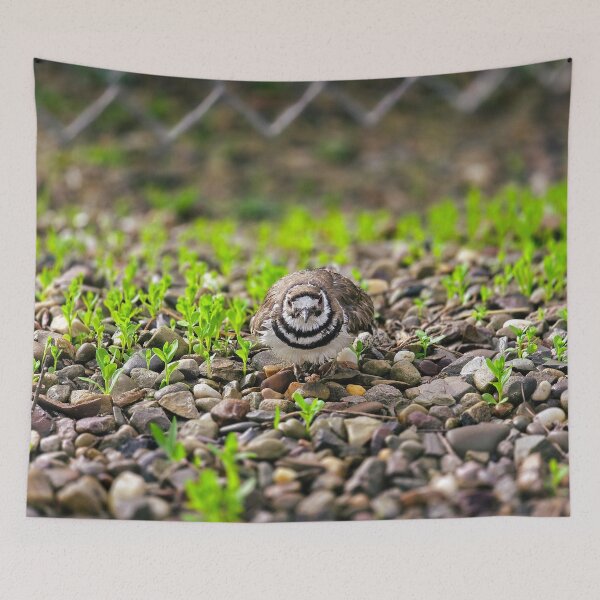 Item preview, The Scrape No. 4 - Unmoved designed and sold by Feral Vibes.
