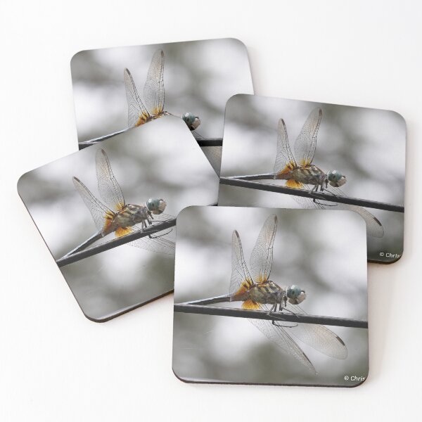 Item preview, Dragonfly in Macro designed and sold by cboisen.