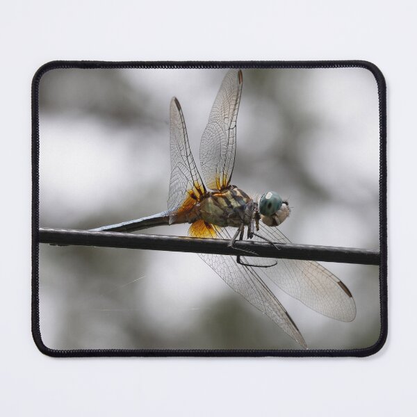 Item preview, Dragonfly in Macro designed and sold by cboisen.