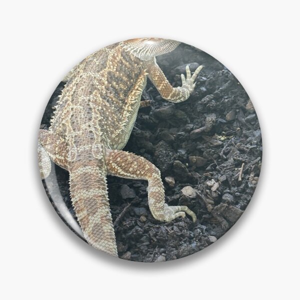 Item preview, Falla the bearded dragon enjoying  being in her outside garden designed and sold by KekePublishing.