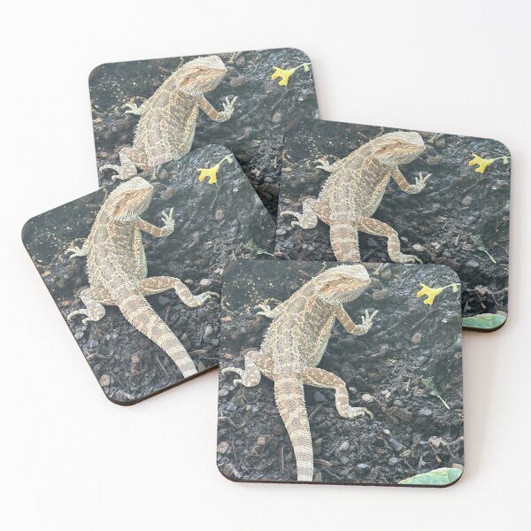 Item preview, Falla the bearded dragon enjoying  being in her outside garden designed and sold by KekePublishing.