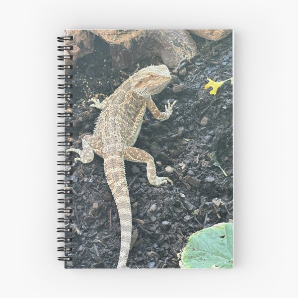 Item preview, Falla the bearded dragon enjoying  being in her outside garden designed and sold by KekePublishing.