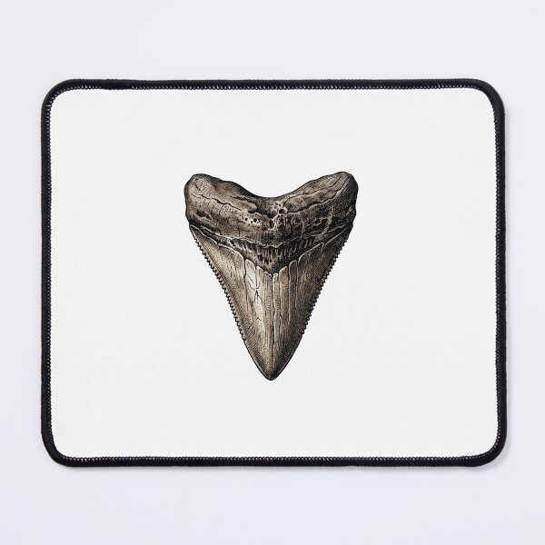 Item preview, Megalodon Fossil Tooth Vintage  Shark Tooth designed and sold by SOUFIANE1991.