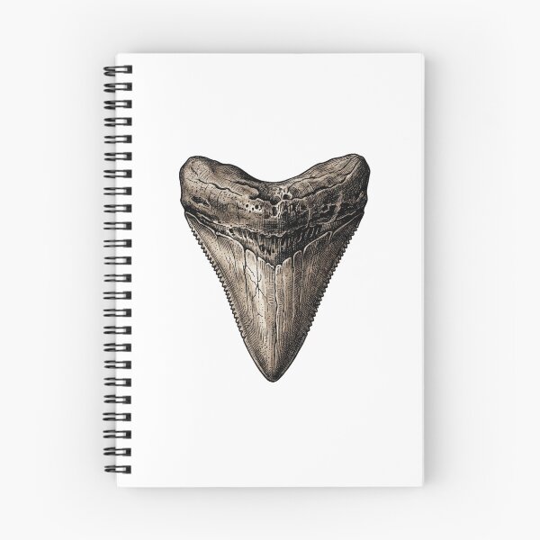 Item preview, Megalodon Fossil Tooth Vintage  Shark Tooth designed and sold by SOUFIANE1991.
