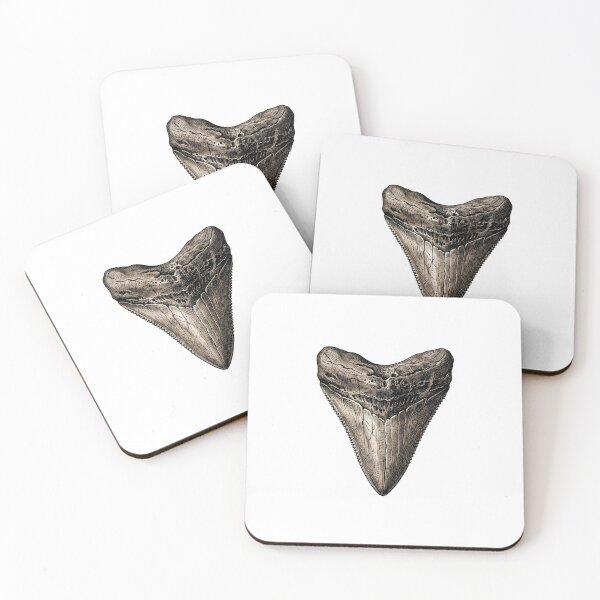 Item preview, Megalodon Fossil Tooth Vintage  Shark Tooth designed and sold by SOUFIANE1991.