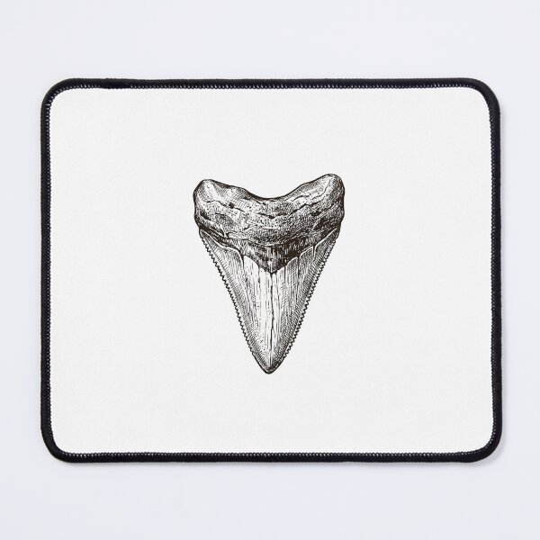 Item preview, Megalodon Fossil Tooth Vintage  Shark Tooth designed and sold by SOUFIANE1991.