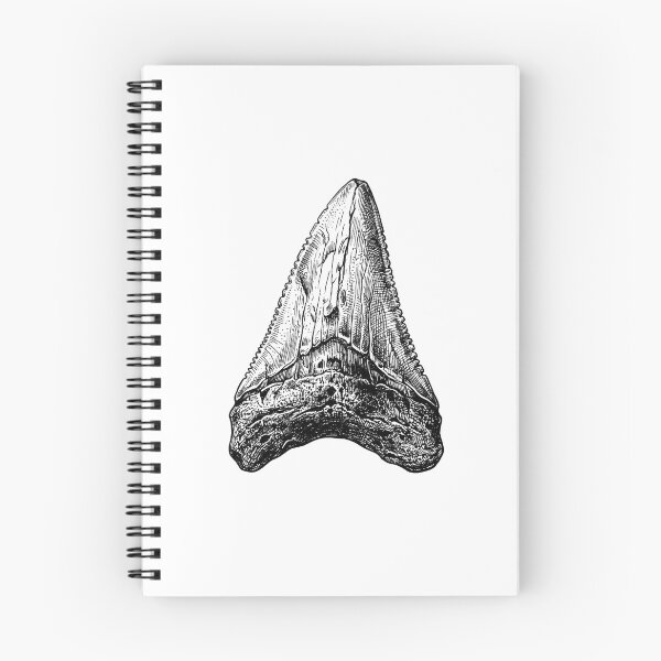 Item preview,  Megalodon Fossil Tooth Vintage  Shark Tooth designed and sold by SOUFIANE1991.