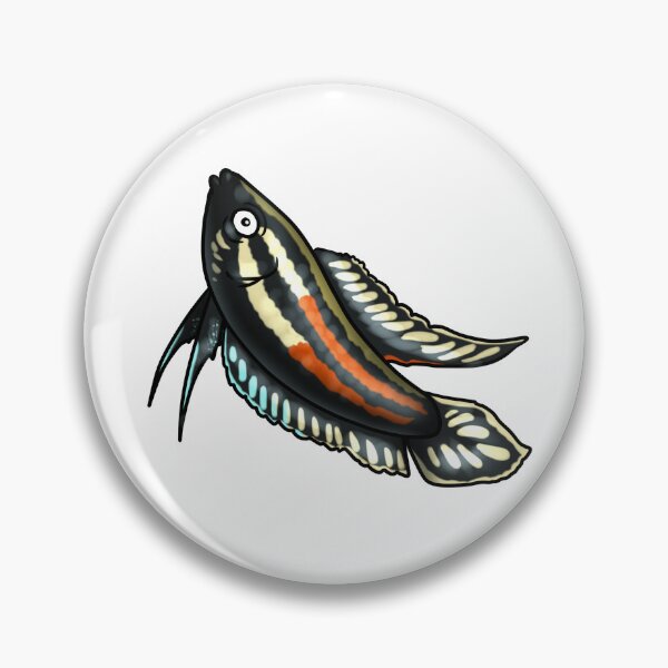 Item preview, Parosphromenus juelinae (Licorice Gourami) designed and sold by Jeenakatarox.